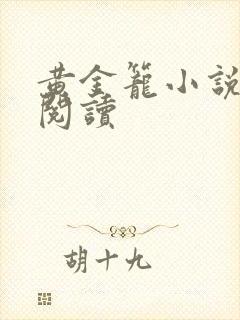 黄金笼小说免费阅读