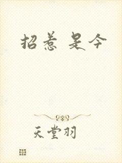 招惹 是今