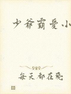 少爷霸爱小丫头