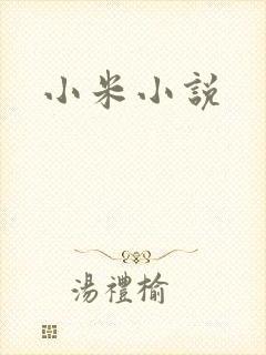 小米小说