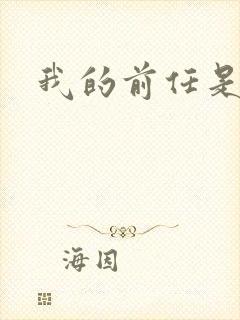 我的前任是极品