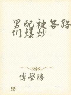 男配被各路大佬们爆炒