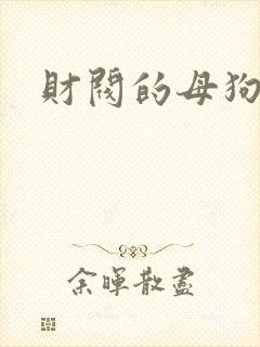 财阀的母狗们