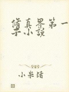 修真界第一病秧子小说