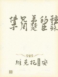 借兄弟的种生孩子周楚臣苏糖