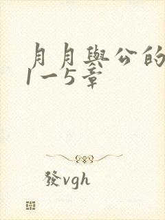 月月与公的激情1一5章