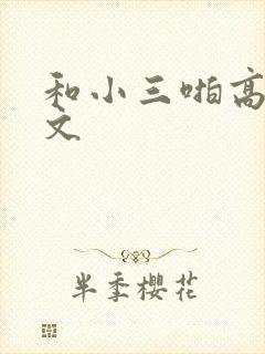 和小三啪高辣h文