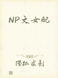 NP文女配