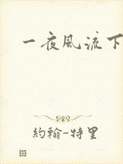 一夜风流下载