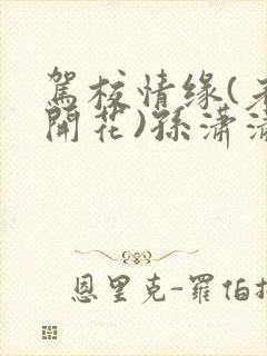 驾校情缘(老树开花)孙潇潇第一次趣笔阁