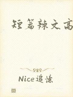 短篇辣文高h