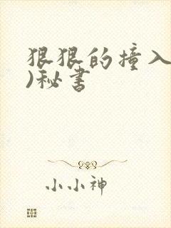 狠狠的撞入(h)秘书