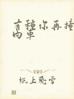 有种你再撞一下肉车