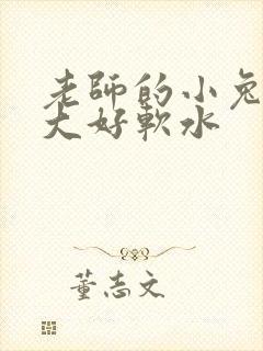 老师的小兔子好大好软水
