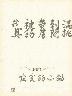 我被带到满是玩具的房间挑调作文