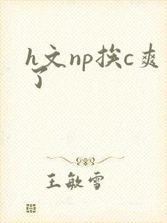 h文np挨c爽了