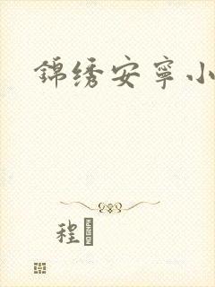 锦绣安宁小说