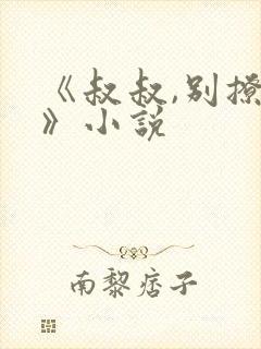 《叔叔,别撩我》小说