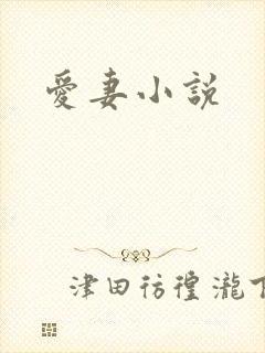 爱妻小说