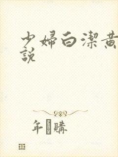 少妇白洁黄色小说