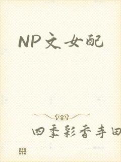 NP文女配