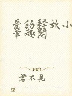 爱的释放小说 笔趣阁