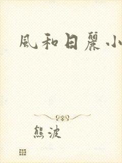 风和日丽小说