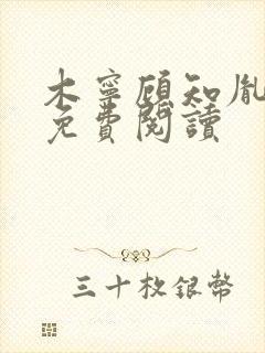 木宁顾知胤小说免费阅读