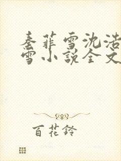 秦菲雪沈浩秦菲雪小说全文免费阅读求书