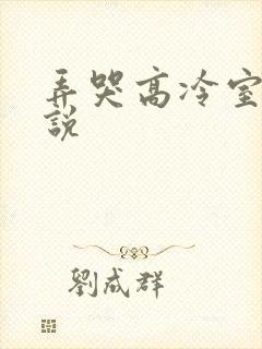 弄哭高冷室友小说