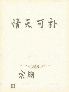 情天可补