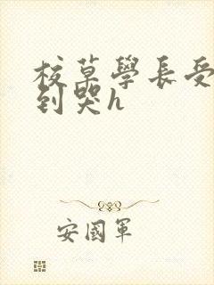 校草学长受被做到哭h