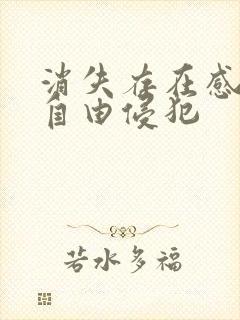 消失存在感消失自由侵犯