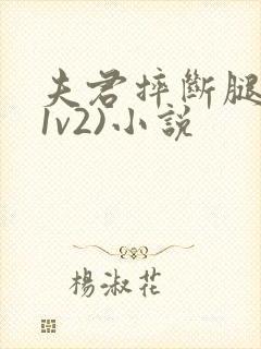 夫君摔断腿后(1v2)小说