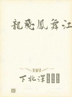 龙飞凤舞江一龙