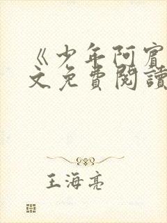 《少年阿宾》全文免费阅读