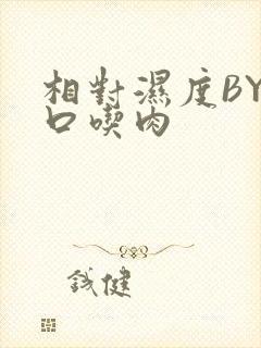 相对湿度BY大口吃肉