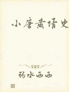 小唐黄倩史