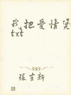 我把爱情煲成汤txt