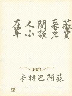 在人间采薇陆三平小说免费阅读