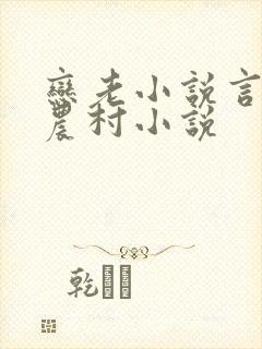 恋老小说言情网农村小说