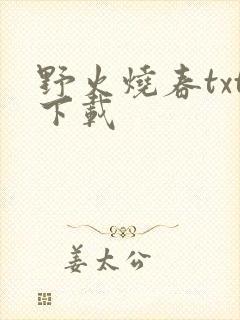 野火烧春txt下载