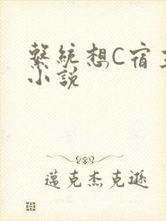 系统想C宿主的小说