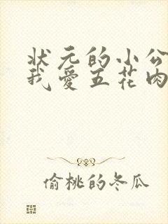 状元的小公主(我爱五花肉)