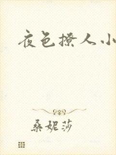 夜色撩人小说
