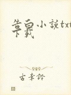 告白小说txt下载