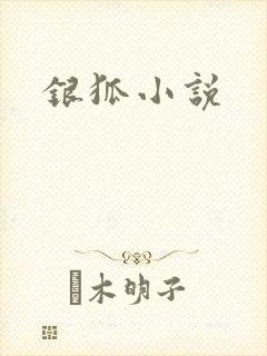 银狐小说