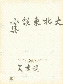 小说东北大炕全集