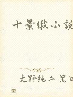 十景缎小说