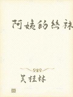 阿姨的丝袜小说